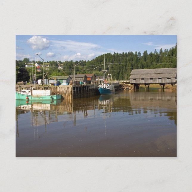 Mellan tidvatten i Bay of Fundy vid St. Martins, N Vykort (Framsida)