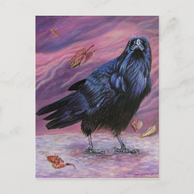 Mellan World Raven Postcard av Michaeline McDona Vykort (Framsida)