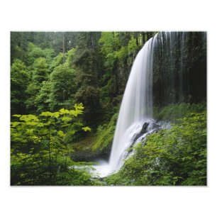 Mellanliggande North falls, Silver Falls State Par Fototryck