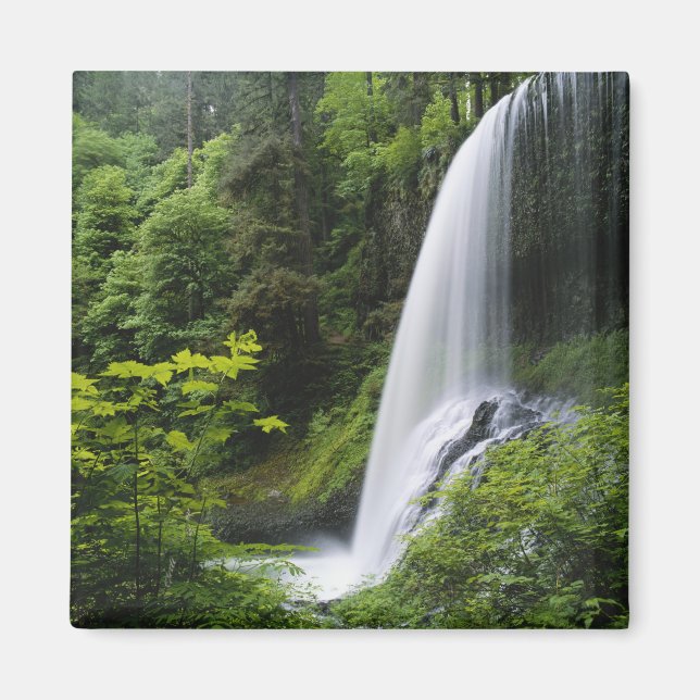 Mellanliggande North falls, Silver Falls State Par Magnet (Framsidan)