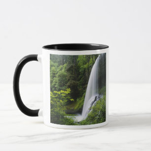 Mellanliggande North falls, Silver Falls State Par Mugg