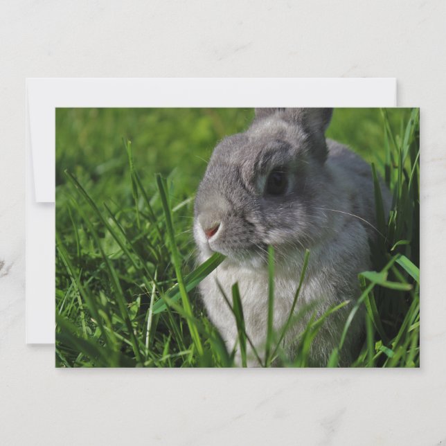 Mellanmål Time Inbjudningar (Framsida)