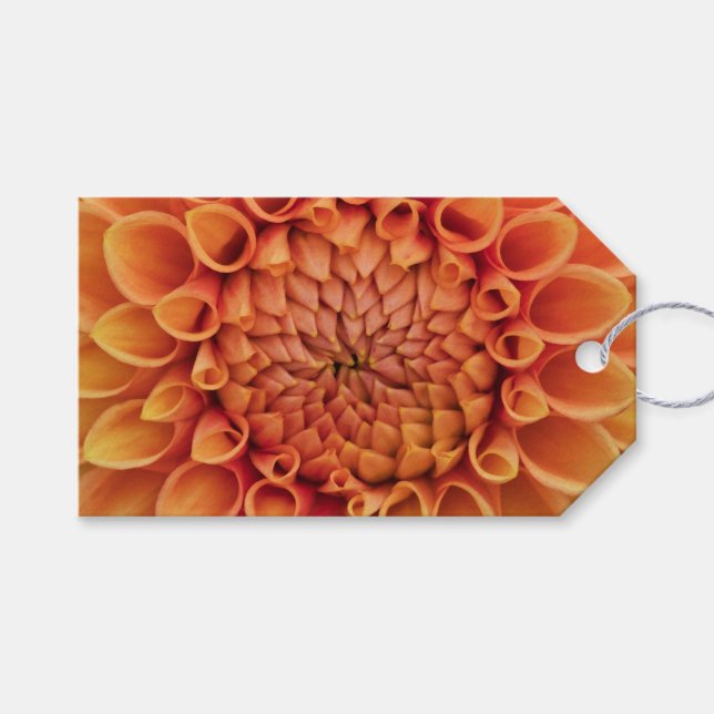 Mellanorange dahliablomma presentetikett (Framsidan (Horisontell))