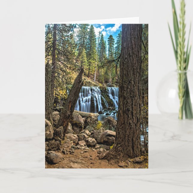 MELLERSTA NEDGÅNGAR PÅ den McCLOUD FLODEN Kort (Framsida)