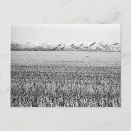 Mellersta Oregon, norra Maupin (vykort) Vykort