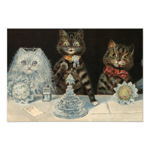 Mellins Food Biscuits av Louis Wain Fototryck