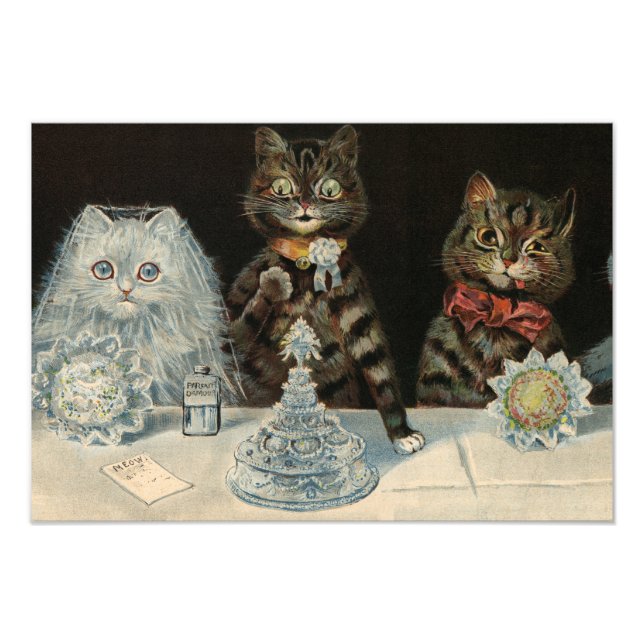 Mellins Food Biscuits av Louis Wain Fototryck (Framsidan)
