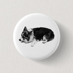 mellow glow-pinn, corgi knapp