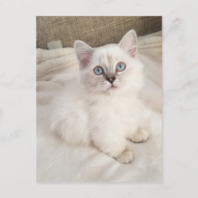 Melodi Vykort (Framsida)