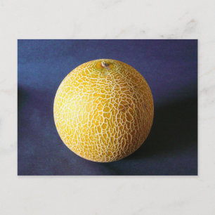 Melon/Cantaloupe Vykort
