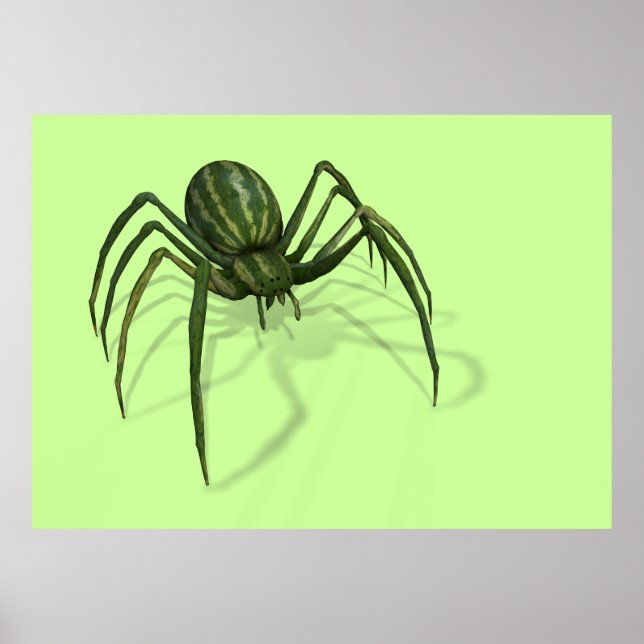 Melon Spider Poster (Framsidan)