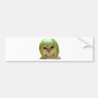 melonkatt bildekal