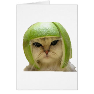 melonkatt hälsningskort