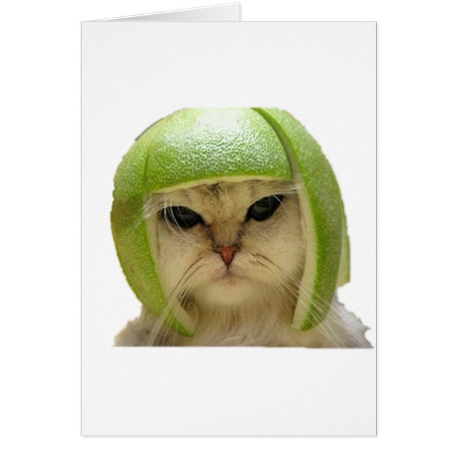 melonkatt hälsningskort (Framsidan)