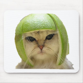 melonkatt musmatta