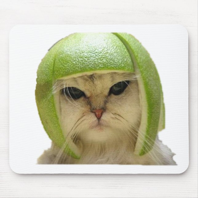 melonkatt musmatta (Framsidan)