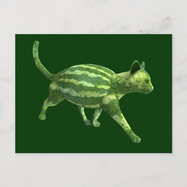 Melons Cat för vattenmelondagen Vykort (Framsida)