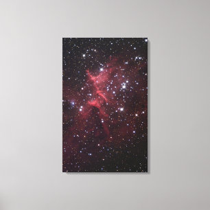 Melotte-15 kärnar ur samla i en klunga av IC1805 Canvastryck