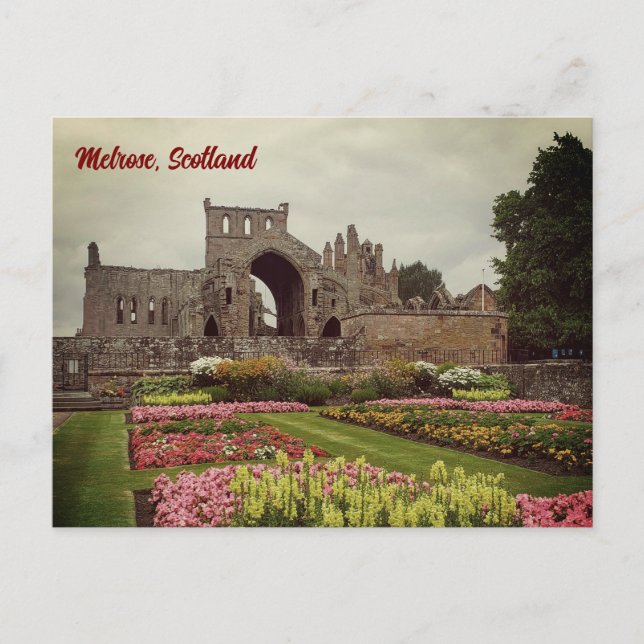 Melrose Abbey Postcard, Scotland Postcard Vykort (Framsida)