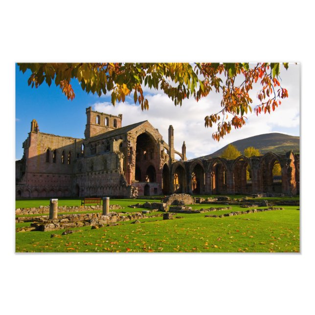 Melrose Abbey, Scotland Photo print Fototryck (Framsidan)