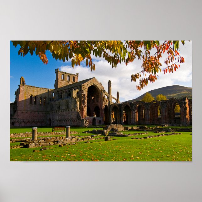 Melrose Abbey, Skottland Poster (Framsidan)