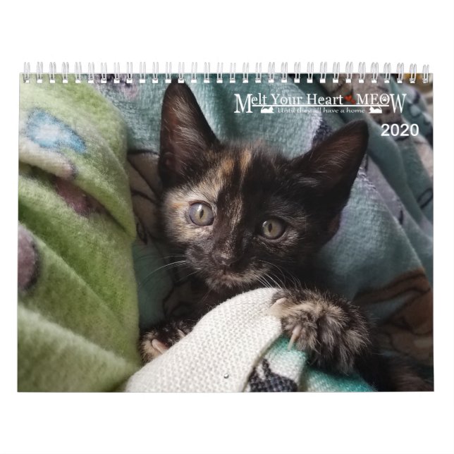 Melt ditt hjärta - MEOW 2020 Kitten Kalender (Omslag)