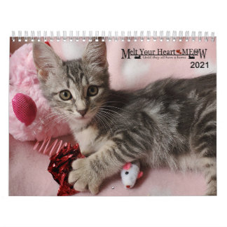 Melt ditt hjärta - MEOW 2021 Kitten Kalender