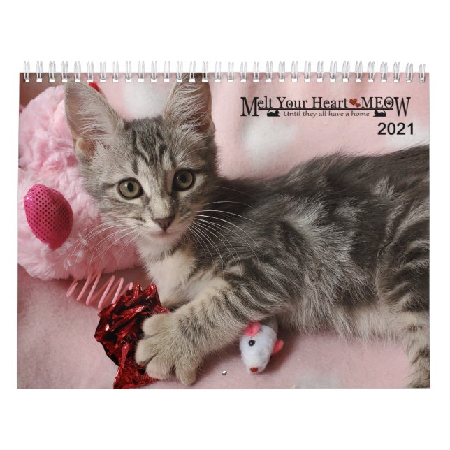 Melt ditt hjärta - MEOW 2021 Kitten Kalender (Omslag)