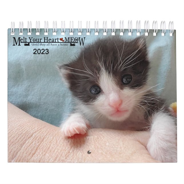 Melt Your Heart - MEOW 2023 Kitten Calendar Kalender (Omslag)