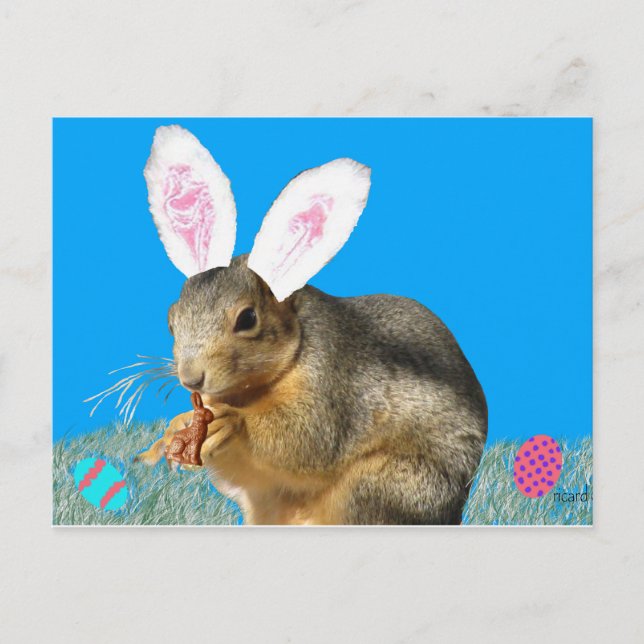 Melvin Cottontail Postcard Vykort (Framsida)