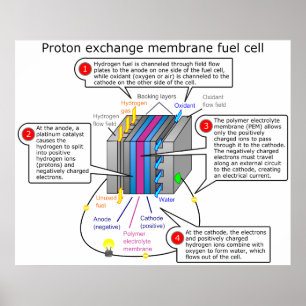 Membranet för Protonutbytet tankar celldiagrammet Poster