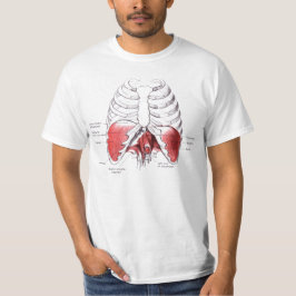 Membranteckning Tee Shirt