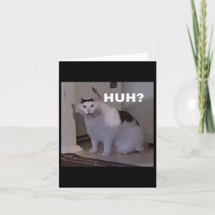 Meme`Cat Kort