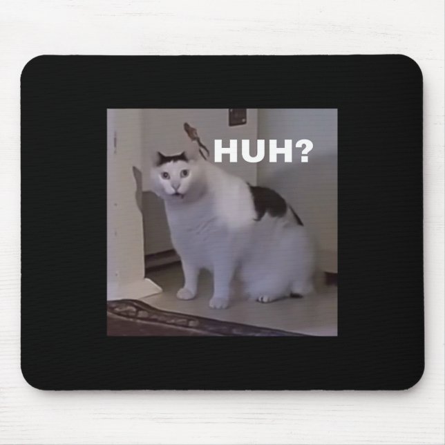 Meme`Cat Musmatta (Framsidan)