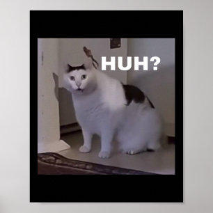 Meme`Cat Poster