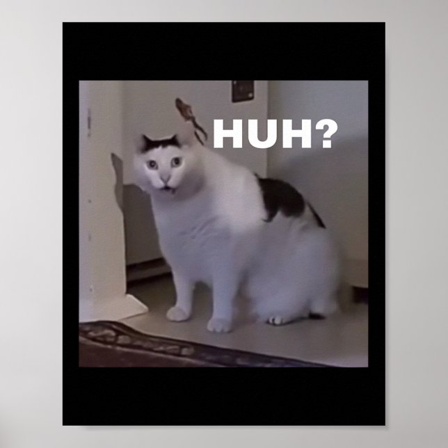 Meme`Cat Poster (Framsidan)