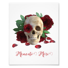 Memento Mori. Skal med röd ros Fototryck