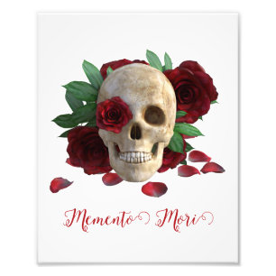 Memento Mori. Skal med röd ros Fototryck
