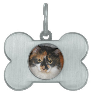 MeMeow ID-bricka Husdjur