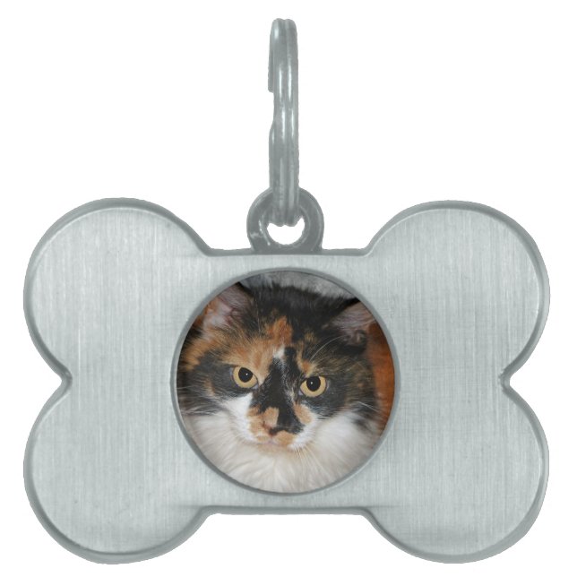 MeMeow ID-bricka Husdjur (Framsidan)