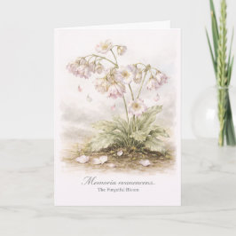 Memoria Evanescens – Den Glömska Blomman Botanisk Kort