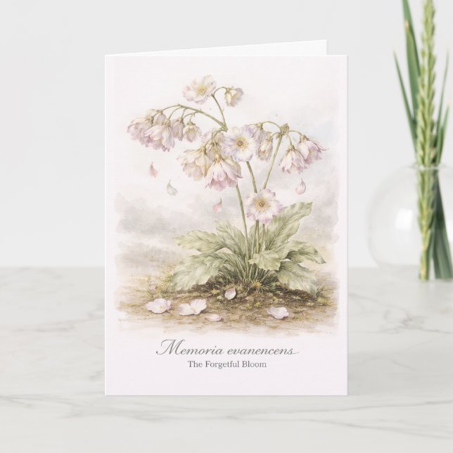 Memoria Evanescens – Den Glömska Blomman Botanisk Kort (Framsida)