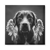 Memorial Angel Hund Labrador