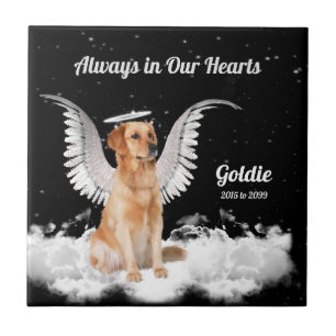 Memorial för Pet Golden Retriever Angel Hund Kakelplatta