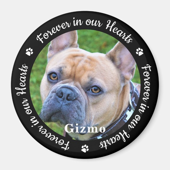 Memorial Fridge för anpassningsbar Photo Pet Hund Magnet (Framsidan)