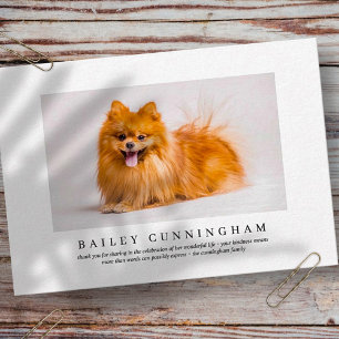 Memorial Funeral for Pet   Modern foto för Elegant Tack Kort