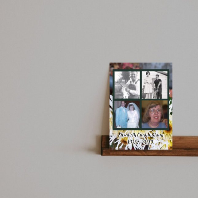 Memorial Fyra foton White Spider Morsa Photo Poster (Skapare uppladdad)