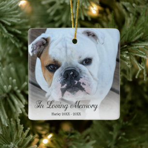 Memorial Hund Photo in Loving Memory-jul Julgransprydnad Keramik