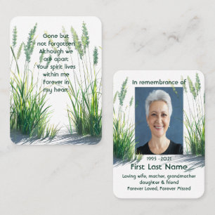 Memorial Photo Grasslands Vild Natature Grass Visitkort