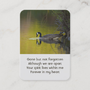 Memorial Photo Sjö Canada Goose Bird Visitkort